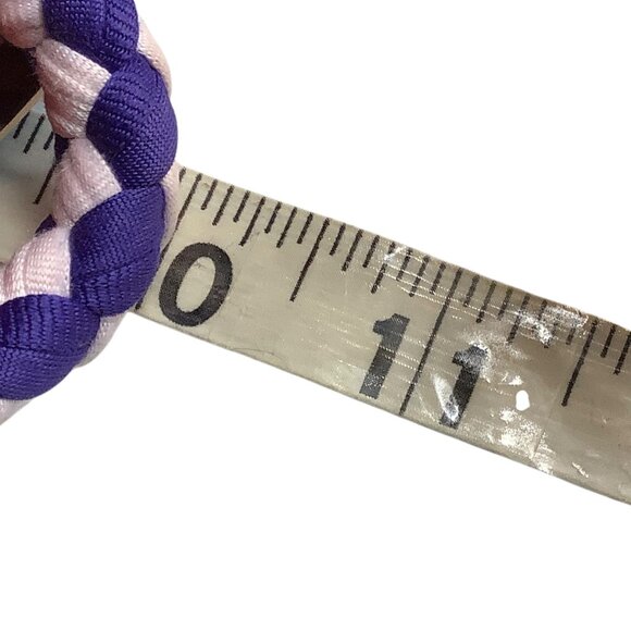 Bark Squeakfarts Rainbow Dog Toy Small/Medium Breed Interactive Plush 10" NEW - Picture 8 of 8